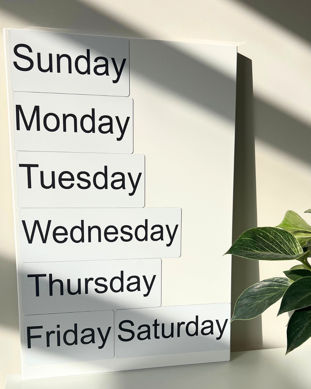 Magnetic Card Set «English Days of the Week»