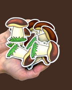 Magnetic Counting Set «Mushroom Forest»