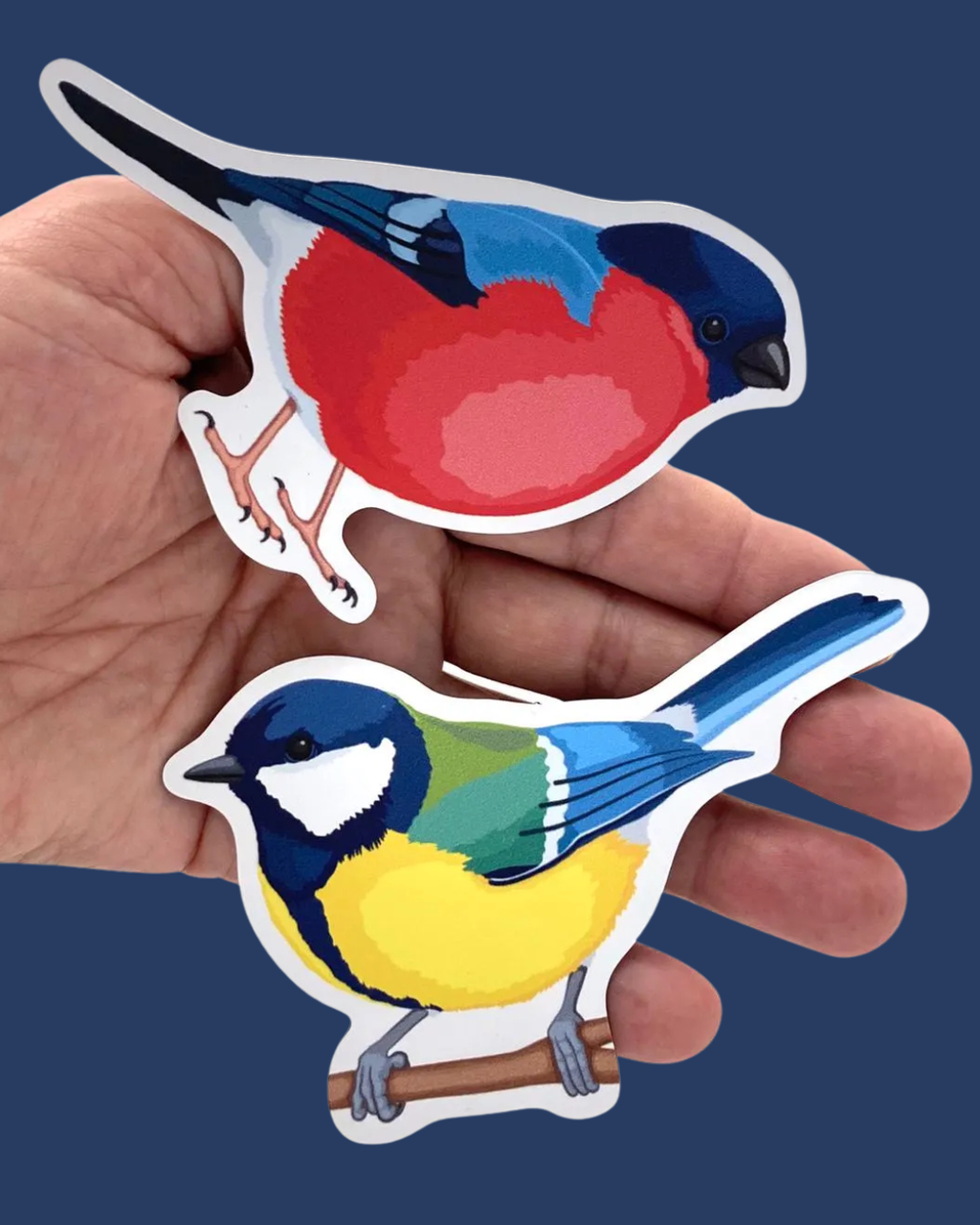 Magnetic Counting Set «Birds»