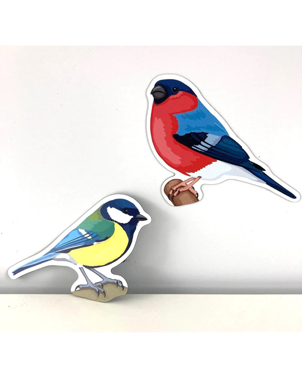 Magnetic Counting Set «Birds»