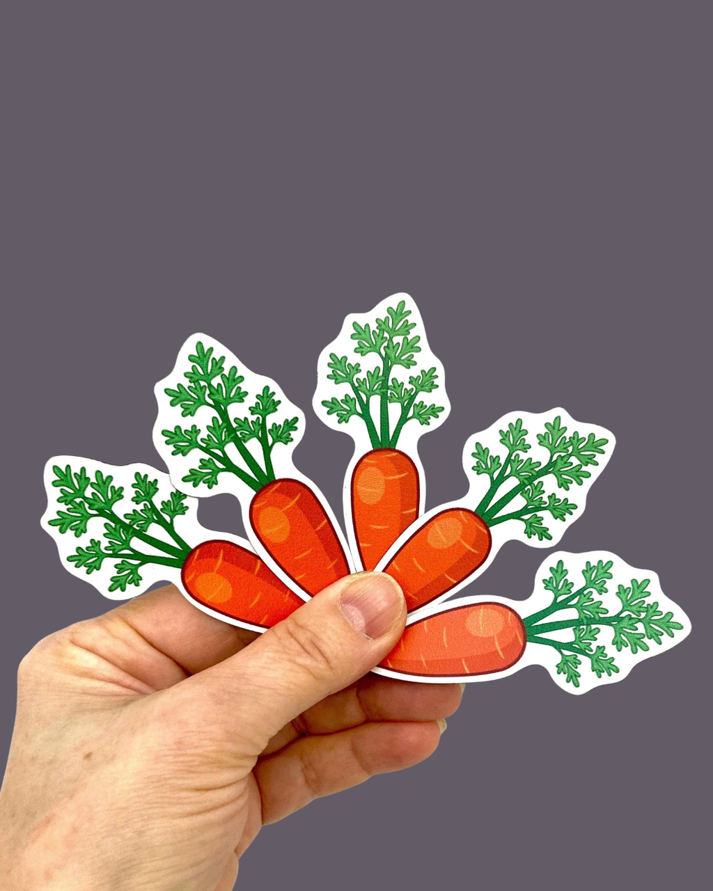 Magnetic Counting Set «Bunnies & Carrots»