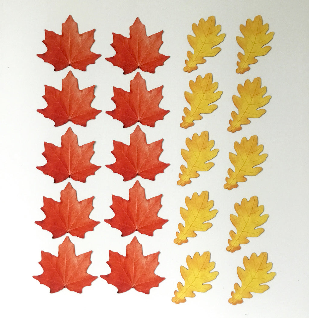Magnetic Counting Set «Leaves»