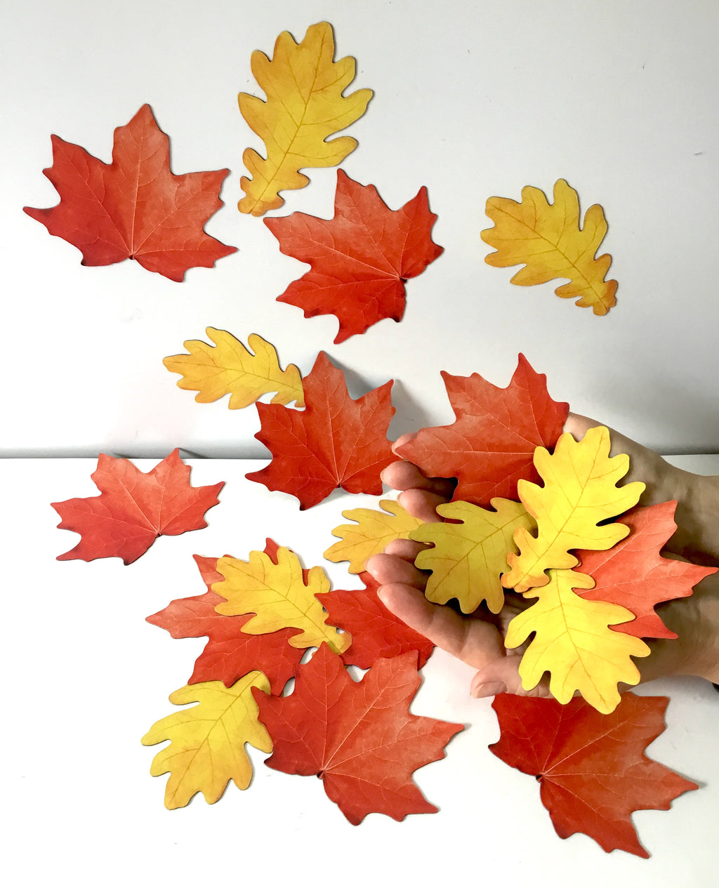 Magnetic Counting Set «Leaves»