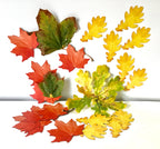 Magnetic Counting Set «Leaves»