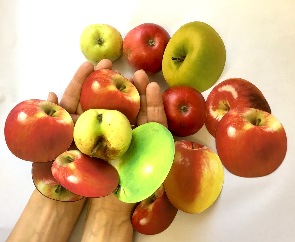 Magnetic Counting Set «Apples»