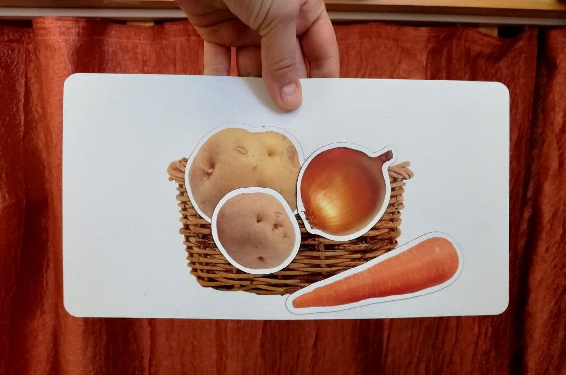 Magnetic Set «Harvest Time»